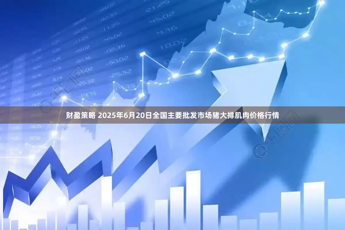 财盈策略 2025年6月20日全国主要批发市场猪大排肌肉价格行情