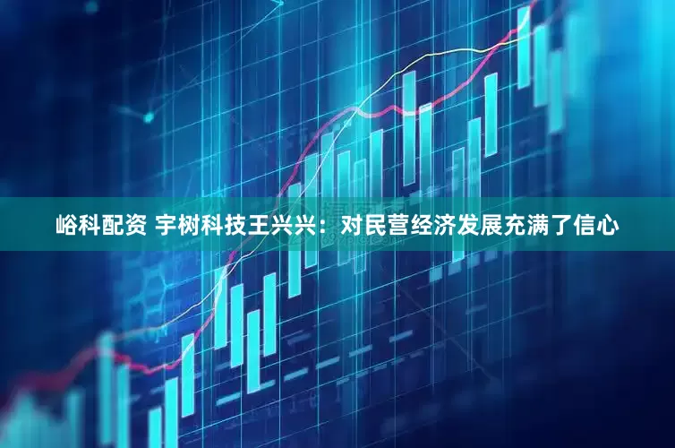 峪科配资 宇树科技王兴兴：对民营经济发展充满了信心