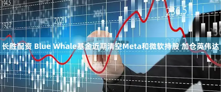 长胜配资 Blue Whale基金近期清空Meta和微软持股 加仓英伟达